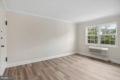 2237 Farrington Ave unit 303, Alexandria, VA 22303 - photo 5