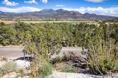 109-Sundance Kid Lot