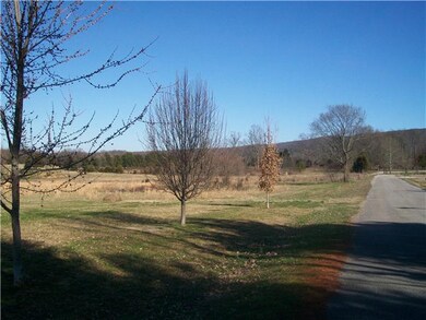 Front Yard views