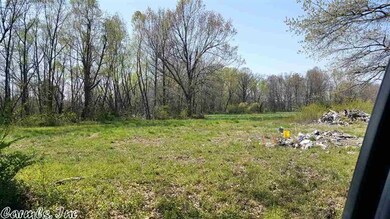 473 Cr 339, Jonesboro, AR 72401 - photo 3