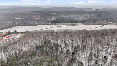 00 Lamb Rd, Newark Valley, NY 13811 - photo 2