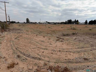 S of 2003 Standpipe Rd, Carlsbad, NM 88220 - photo 2