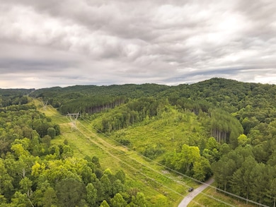 0 Polymer Dr unit 24447838, Decatur, TN 37322 - photo 3