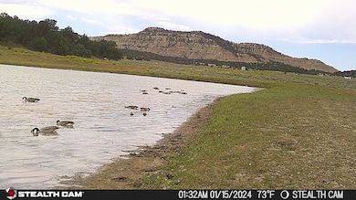 0 Hwy 96 and 595, Regina, NM 87017 - photo 6