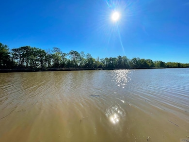 106 Main St, Franklin, LA 70538 - photo 4