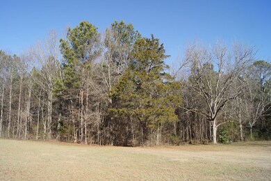 4.57 Ac. Goshen St, Lincolnton, GA 30817 - photo 3