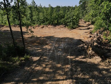 0 Old Highway 18 unit RTC2560935, Stewart, TN 37175 - photo 3