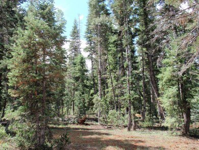 Natural open area