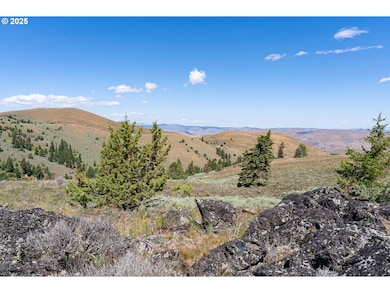 0 Clarks Creek Rd, Bridgeport, OR 97819 - photo 7