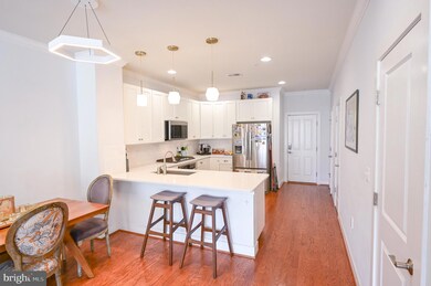 1312 Main Line Blvd unit 101, Alexandria, VA 22301 - photo 5