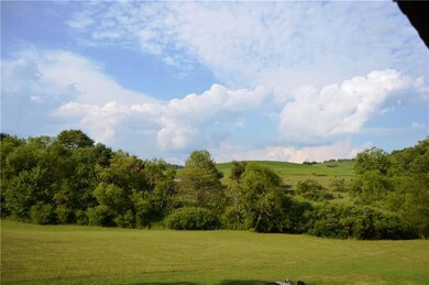view from back porch