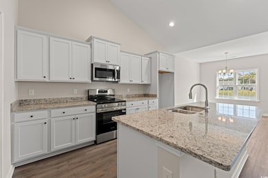 145 Double Pond Dr unit Lot 47 - Abaco, Georgetown, SC 29440 - photo 4