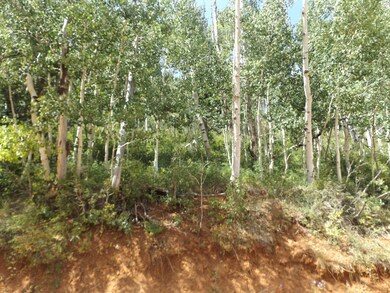 462 W Ski View Dr unit 8, Brian Head, UT 84719 - photo 2