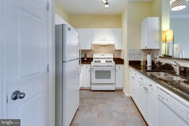 11319 Aristotle Dr unit 305, Fairfax, VA 22030 - photo 7