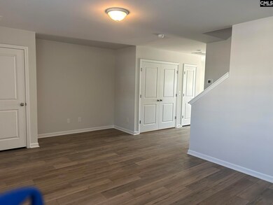 216 Brando Way, Columbia, SC 29223 - photo 3