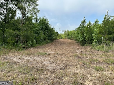 01 Pine Hill Church Rd, Waynesboro, GA 30830 - photo 5