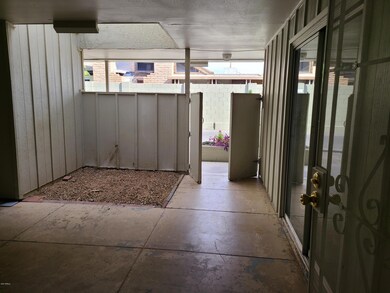 Patio From Front Door