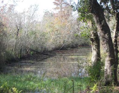 0 Windrow Place, Moss Point, MS 39562 - photo 5