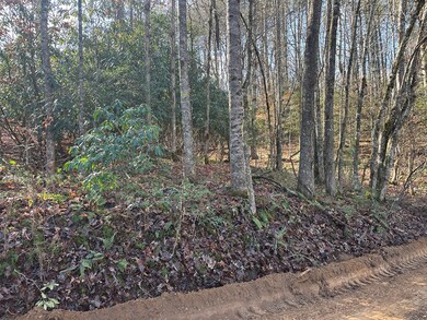 TBD Dickey Rd, Murphy, NC 28906 - photo 4