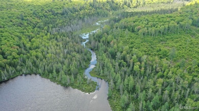 527 Usfs Rd 2130 Rd, Iron River, MI 49935 - photo 4