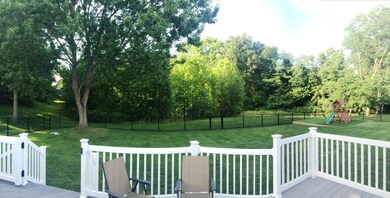 yard 4