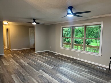 830 Chattanooga Rd, Cohutta, GA 30710 - photo 3