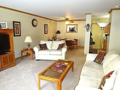 1916 Cherrywood Ct unit 1916, Joliet, IL 60435 - photo 7