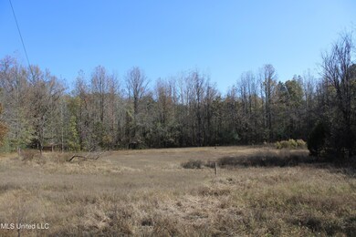 5123 Highway 51 S, Hernando, MS 38632 - photo 7