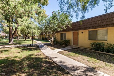 0002-Juniper - 3328 (2)