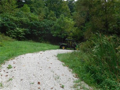 000 Black Ankle Rd, Bloomfield, IN 47424 - photo 3