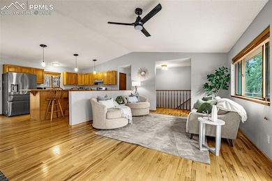 15845 Roller Coaster Rd, Colorado Springs, CO 80921 - photo 7