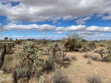 +/-5acres W State Rd, Three Points, AZ 85736 - photo 6