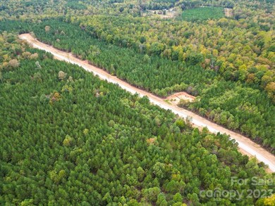 3A Hidden Forest Dr unit 3A, Denver, NC 28037 - photo 4