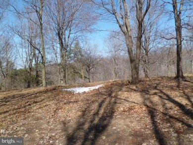 0 Grassy Lick unit 1004334906, Kirby, WV 26755 - photo 5