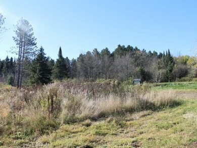 W8367 Cty O, Tomahawk, WI 54487 - photo 6