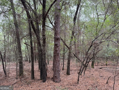 0 Glen Dr unit 10611123, East Dublin, GA 31027 - photo 4