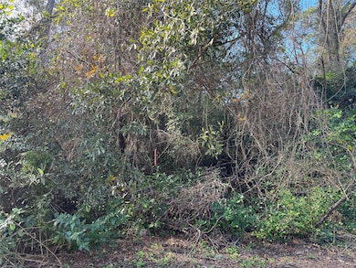 TBD Hickory, Splendora, TX 77372 - photo 2