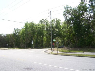 1990 E Norvell Bryant Hwy, Hernando, FL 34442 - photo 4