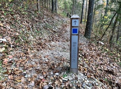 Lot 30 and 31 Munster Dr, Bella Vista, AR 72715 - photo 2