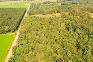 235.05 acres Boundary Rd, Hatley, WI 54471 - photo 7