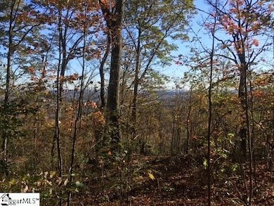 19 Grosbeak Way, Landrum, SC 29356 - photo 5