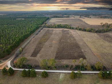 000 An County Road 117, Elkhart, TX 75839 - photo 3