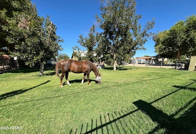 18950 E Via de Palmas, Queen Creek, AZ 85142 - photo 2