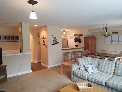 5 Northbrook Village Rd unit A15, Dover, VT 05356 - photo 3