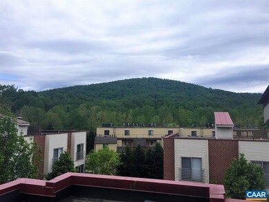 1013 Linden Ave unit T, Charlottesville, VA 22902 - photo 7