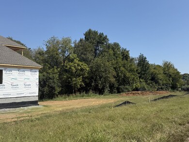 5508 Jenbreck Ln, Arrington, TN 37014 - photo 4