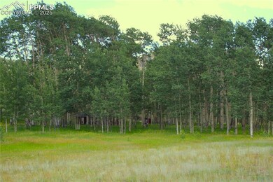 View of undeveloped land