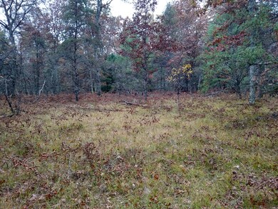 VL Par 3 S Forman Rd, Baldwin, MI 49304 - photo 5