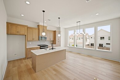 Kitchen / Dining / Living