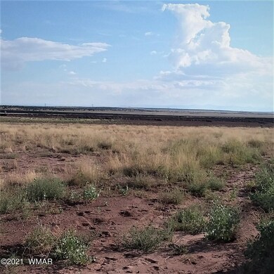 carrizo.d